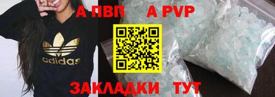 PSILOCYBIN Донской