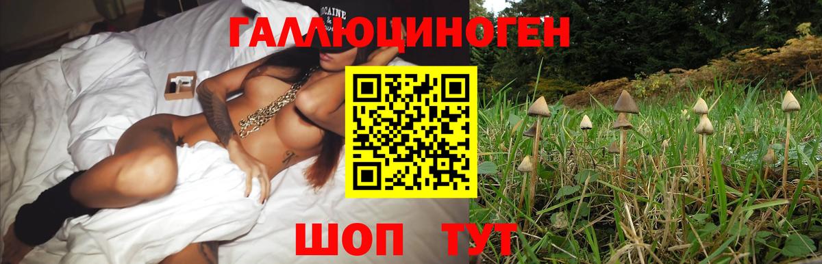 Лабытнанги  Псилоцибиновые грибы Psilocybine cubensis  купить наркотики сайты  Вход с VPN 